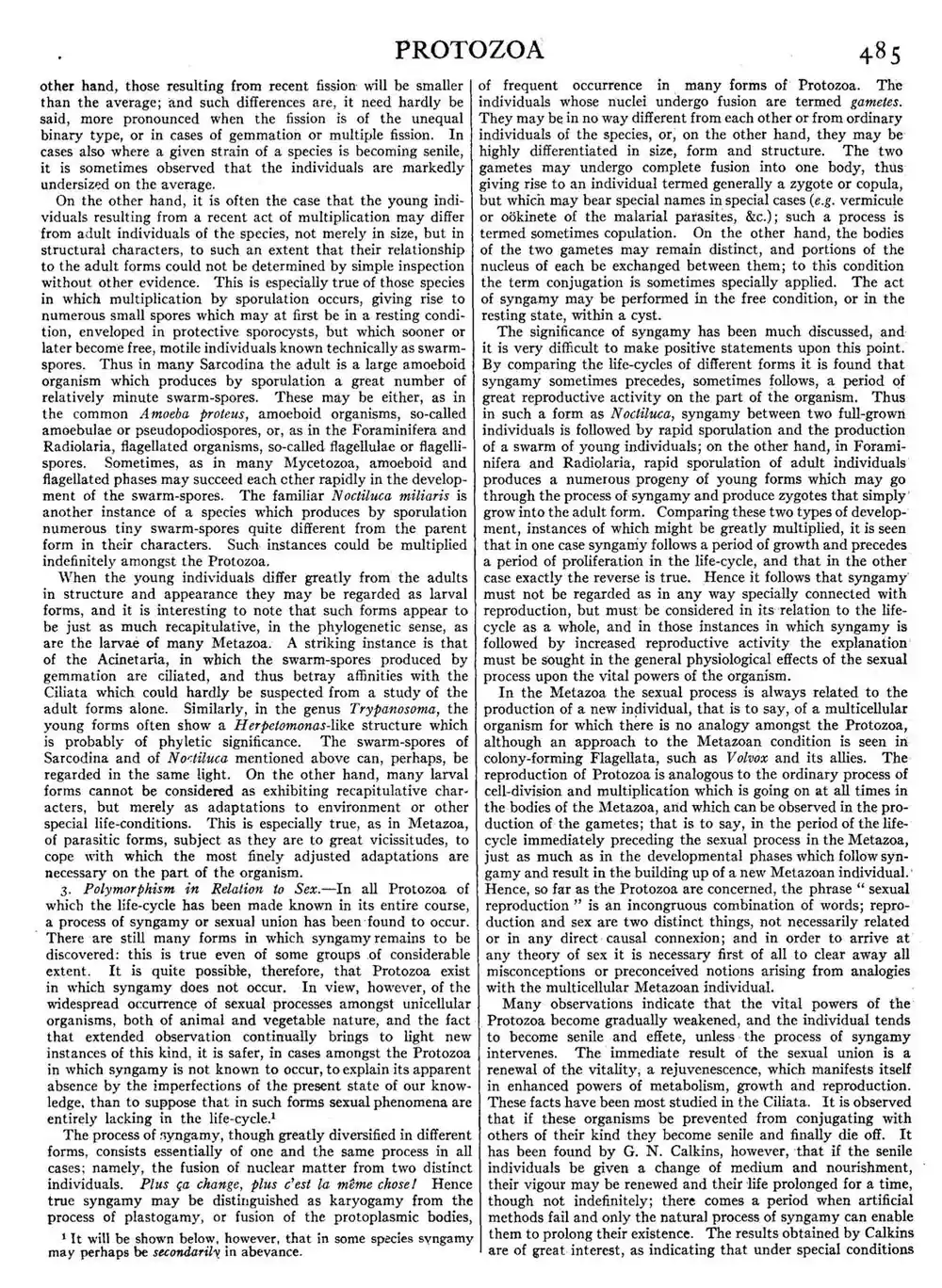 Full scan of the English book page with 2 text columns outlined